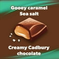 thumbnail image 2 of Caramilk Caramel Salé, 2 of 7