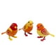 DigiBirds Ensemble 3 oiseaux de DigiBirds - orange – image 5 sur 5