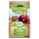Purina Dog Chow Naturel avec du Poulet Élevé dans une Ferme, Nourriture Sèche pour Chiens 19,3 kg 19,3 kg – image 1 sur 9