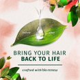 thumbnail image 3 of Herbal Essences Bio:Renew White Grapefruit & Mosa Mint Shampoo, 3 of 7