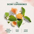 thumbnail image 4 of Herbal Essences Bio:Renew White Grapefruit & Mosa Mint Shampoo, 4 of 7