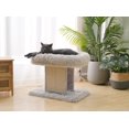 thumbnail image 3 of Catry Ivory Perchoir et griffoir pour chat, 3 of 9