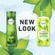 Herbal Essences Tea-Lightfully Clean Shampoo & Body Wash, 346 mL - image 4 of 8