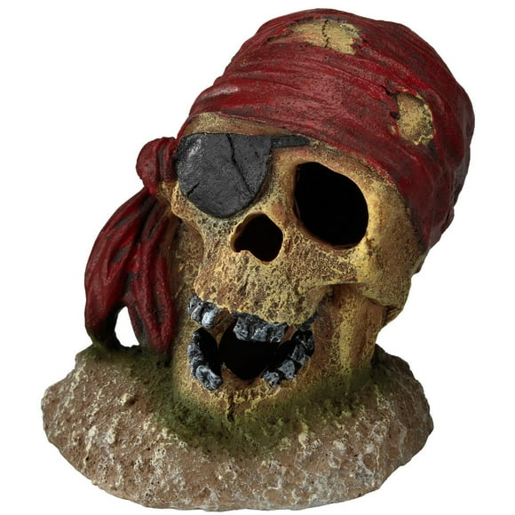 Aqua Della Pirate Skull with Eye Patch