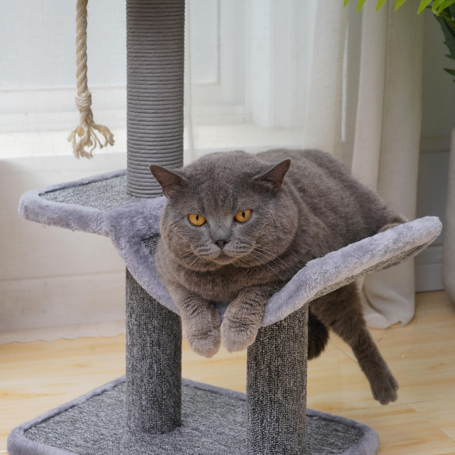 Gray carpet shop cat tree