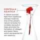 L'Oréal Paris Revitalift Anti-Wrinkle + Firming Crème Yeux Anti-âge avec Pro-Retinol et Centella Asiatica, 15 mL Créme pour les yeux, 15 mL – image 5 sur 9
