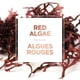 L'Oreal Paris Pure-Clay Nettoyant Quotidien avec 3 Argiles Minérales + Algues Rouges pour  Peau Rugueuse, 140 ml 140ML – image 4 sur 7
