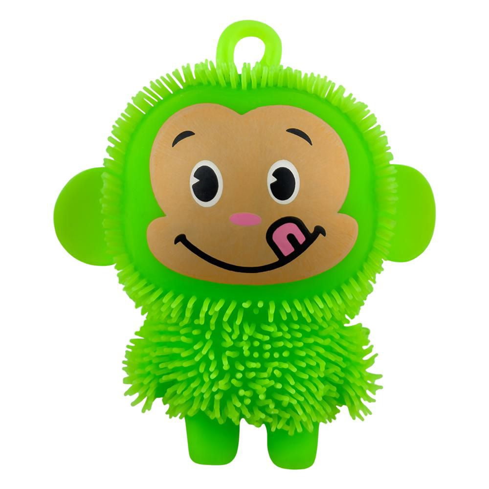 Shaggy Monkey