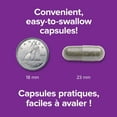 thumbnail image 4 of Webber Naturals Millepertuis, 300 Mg, 4 of 10