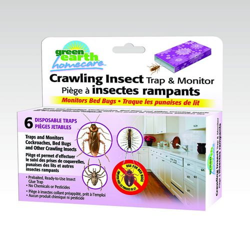 Green Earth Homecare Crawling Insect Trap & Monitor-Green Option ...