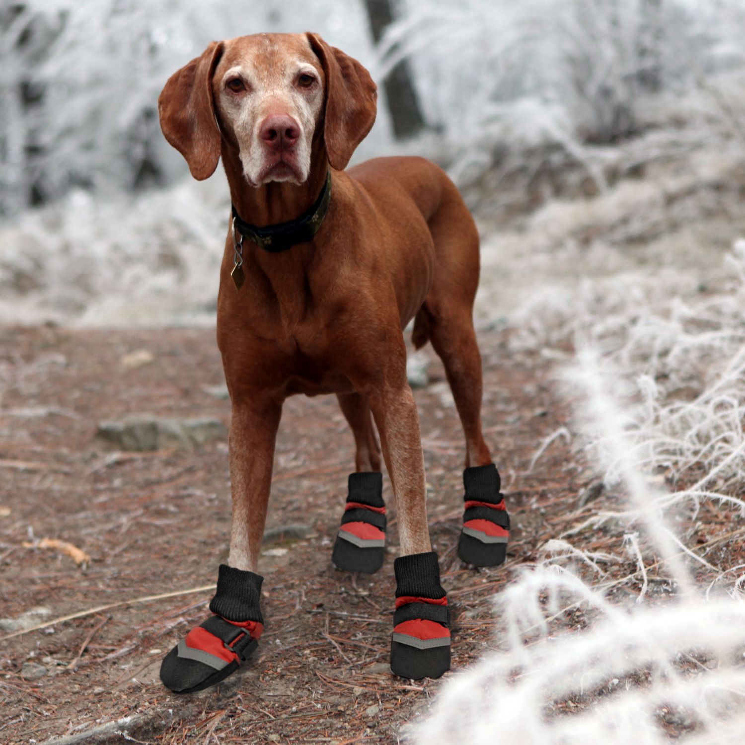 Bark Boutique Extreme Dog Boots Walmart.ca