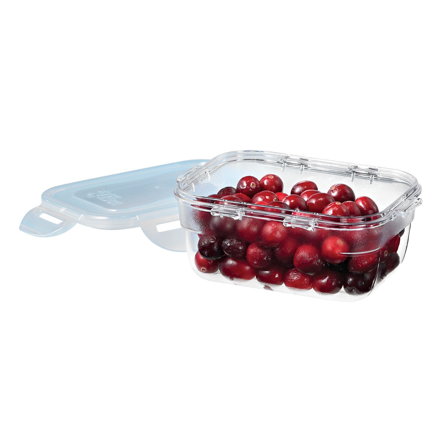 Lock & Lock Tritan Container Set Walmart Canada