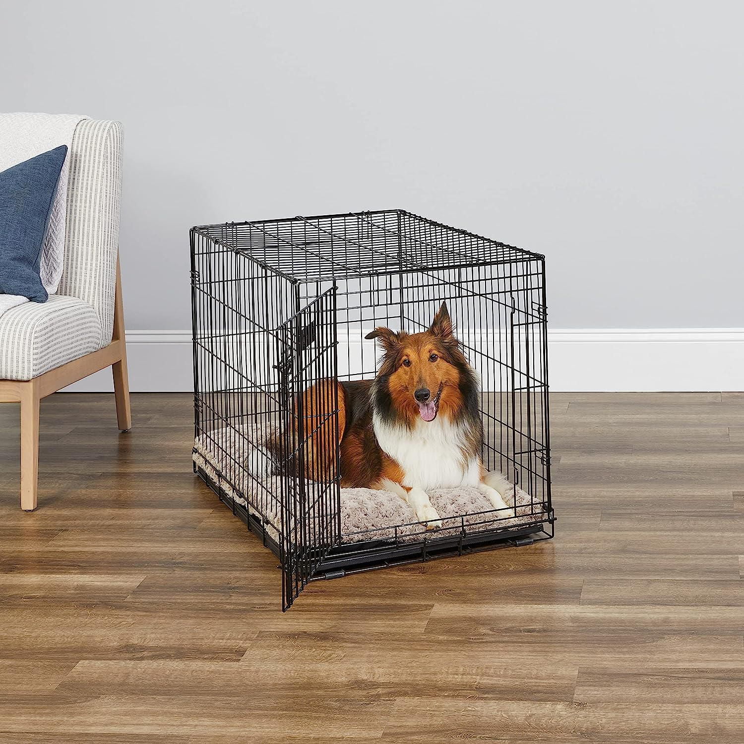 Dog crate hotsell divider walmart