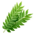 thumbnail image 1 of FEUILLE DE CURRY, 1 plateau, 0.06 - 0.12 KG, 1 of 1