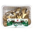 thumbnail image 1 of CHAMPIGNONS BIO OYSTER NOIR 5OZ 5 onces, 1 of 1