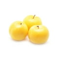 thumbnail image 1 of Plum, Yellow, 1 of 1