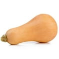 thumbnail image 1 of Squash, Butternut Organic, Sold in singles, 0.76 - 1.40 KG, 1 of 4