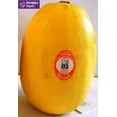 thumbnail image 1 of Organic Spaghetti Squash, 1 of 1