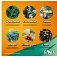 thumbnail image 3 of Olbas Oil, 3 of 4