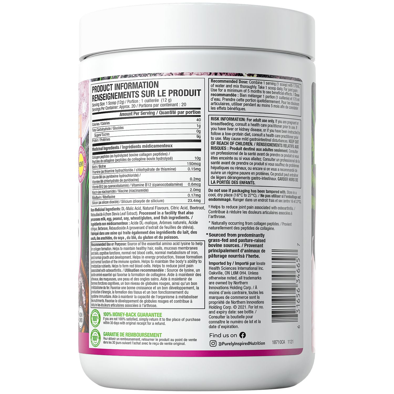 Purely Inspired Collagen Protein Powder- Serie Beaute- MElange De Petits Fruits, Peau, Ongles et Cheveux Saina, 10g Collagene, Biotin, Sans Produit Laitier, Sans Gluten, Sans Sucre Agoute