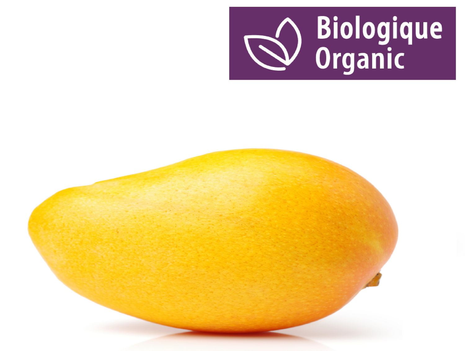 Mangue biologique