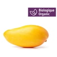 thumbnail image 1 of Mango, Organic, 1 of 1