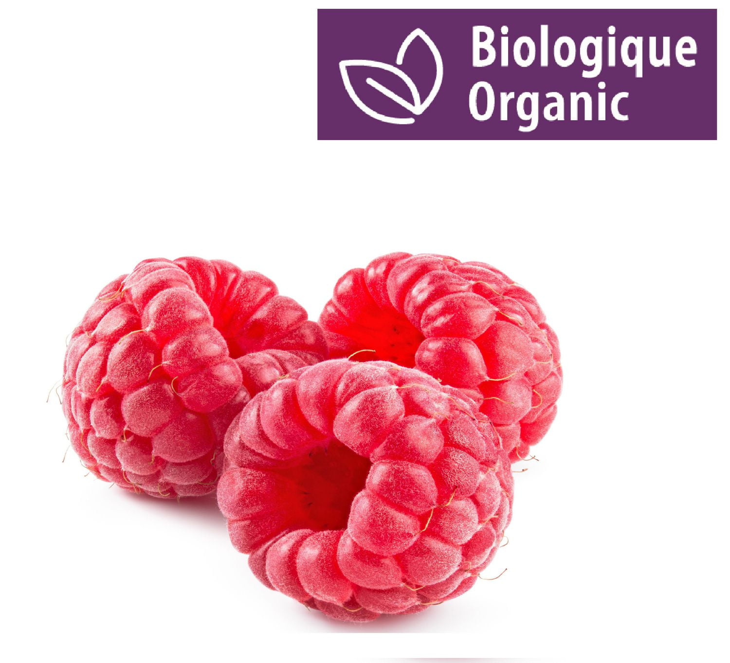 Raspberries, Organic Walmart Canada