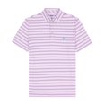 thumbnail image 4 of IZOD Golf Printed Polo, 4 of 4