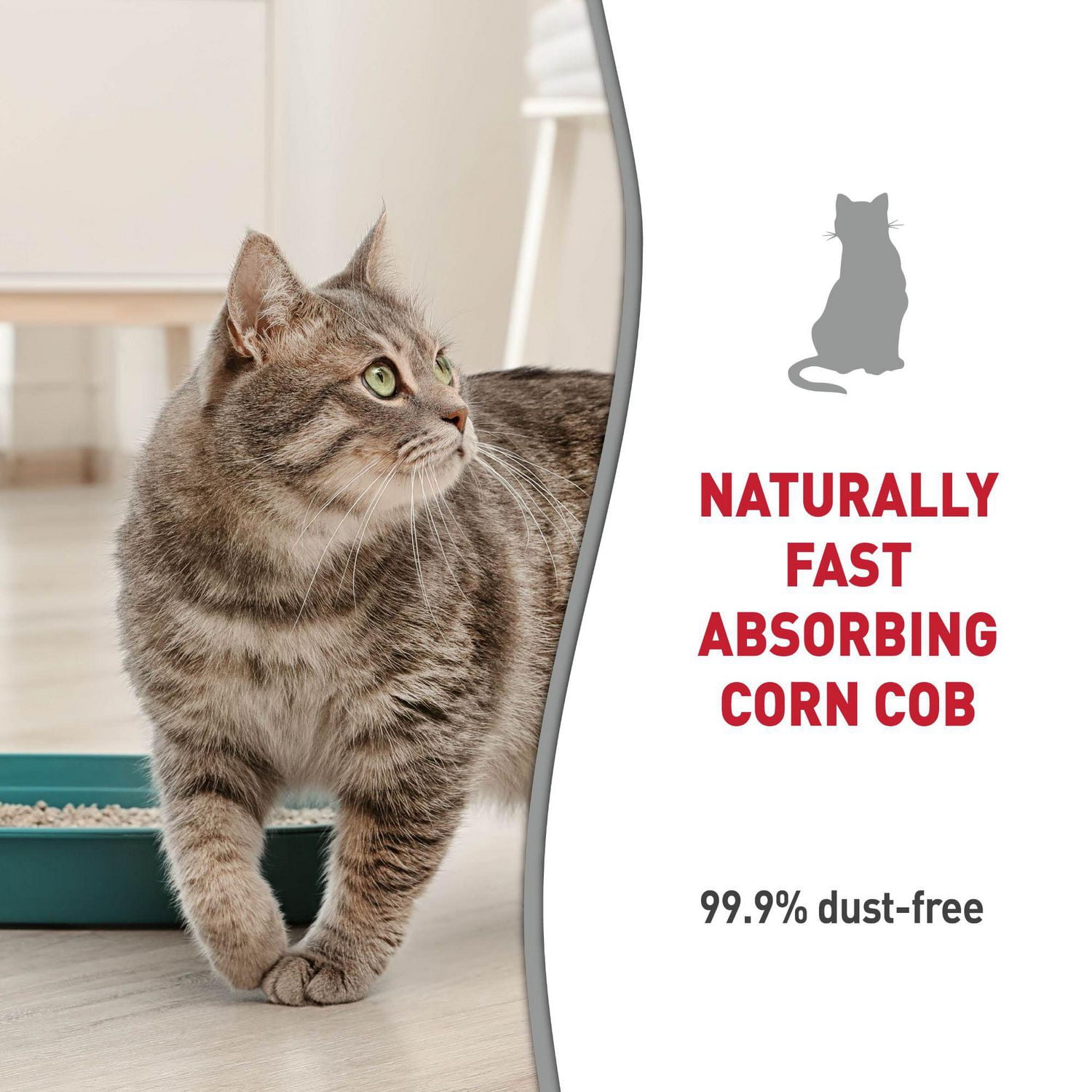 Corn clumping cat discount litter