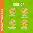 thumbnail image 4 of FLINTSTONES Kids Multivitamin Gummies Plus Immunity Support - with Zinc and Extra Vitamin C‡, Free of Artificial Sweeteners, Free of Aspartame, 4 of 9
