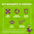 thumbnail image 4 of FLINTSTONES Complete Kids Multivitamin Gummies - Helps Maintain Good Health, Free of Artificial Sweeteners, Free of Aspartame, 4 of 9