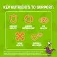thumbnail image 4 of FLINTSTONES Kids Multivitamin Gummies Plus Immunity Support - with Zinc and Extra Vitamin C‡, Free of Artificial Sweeteners, Free of Aspartame, 4 of 9