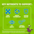 thumbnail image 3 of Multivitamines Les Pierrafeu Gummies Enfants actifs, 3 of 8