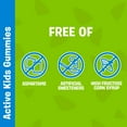 thumbnail image 4 of Multivitamines Les Pierrafeu Gummies Enfants actifs, 4 of 8