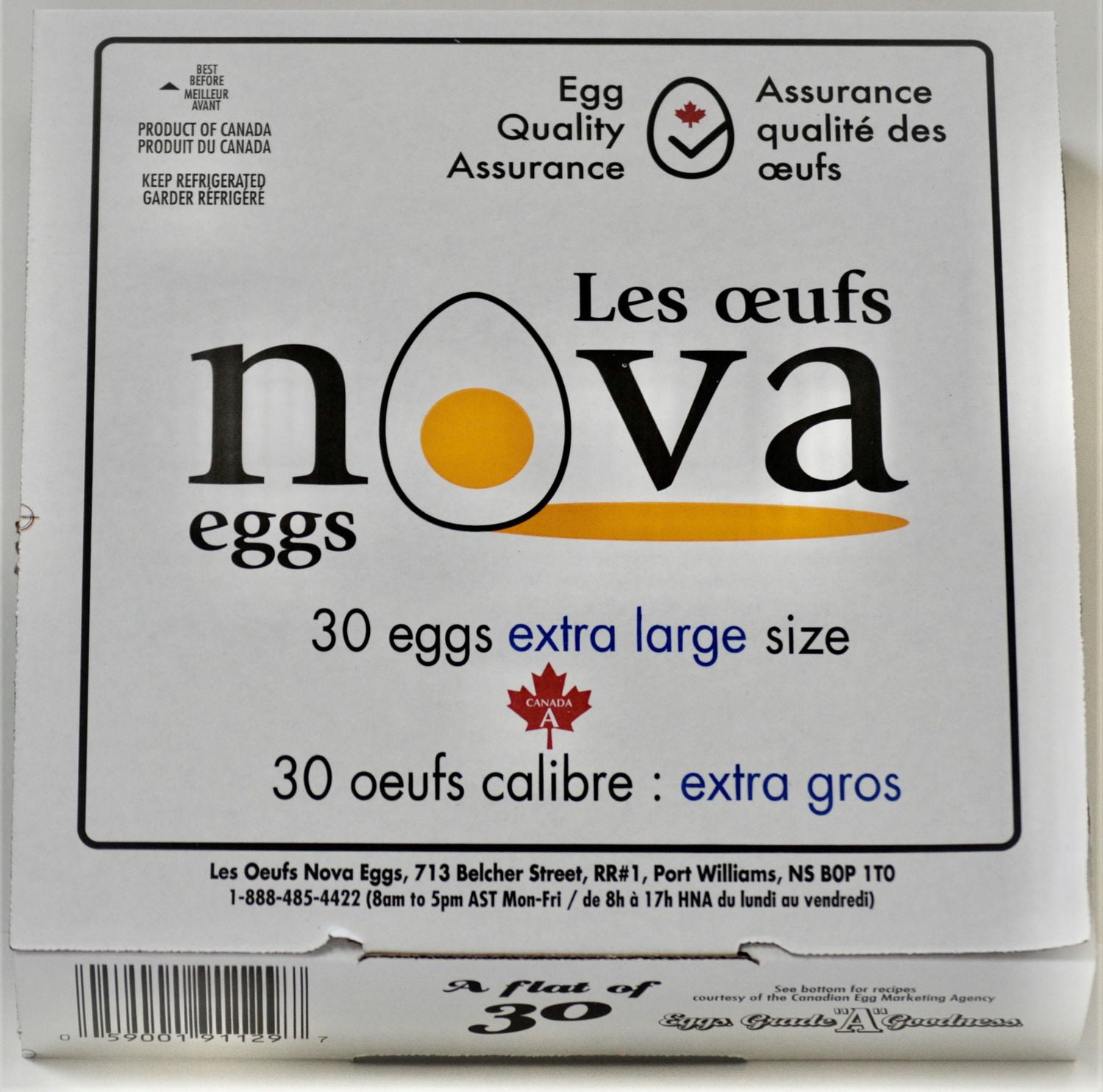 Nova Eggs XL White Eggs Walmart Canada