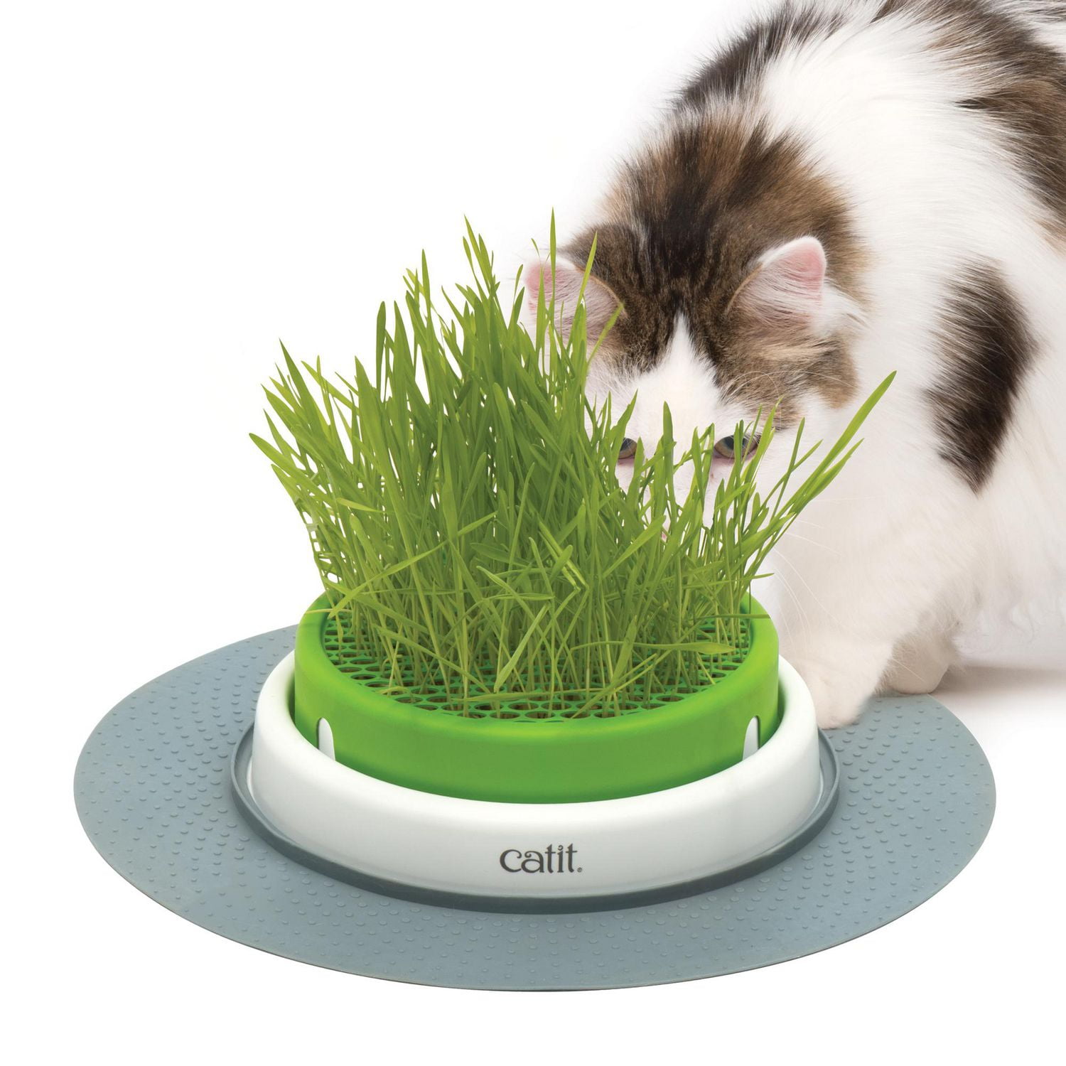 Catit Senses 2.0 Cat Grass Refill (Seeds Only)
