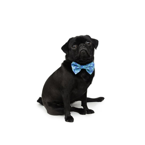 One Paw, Bowtie Slider for Dogs, Soft Fabric, Blue, One Paw, 1-Pack Bowtie Slider