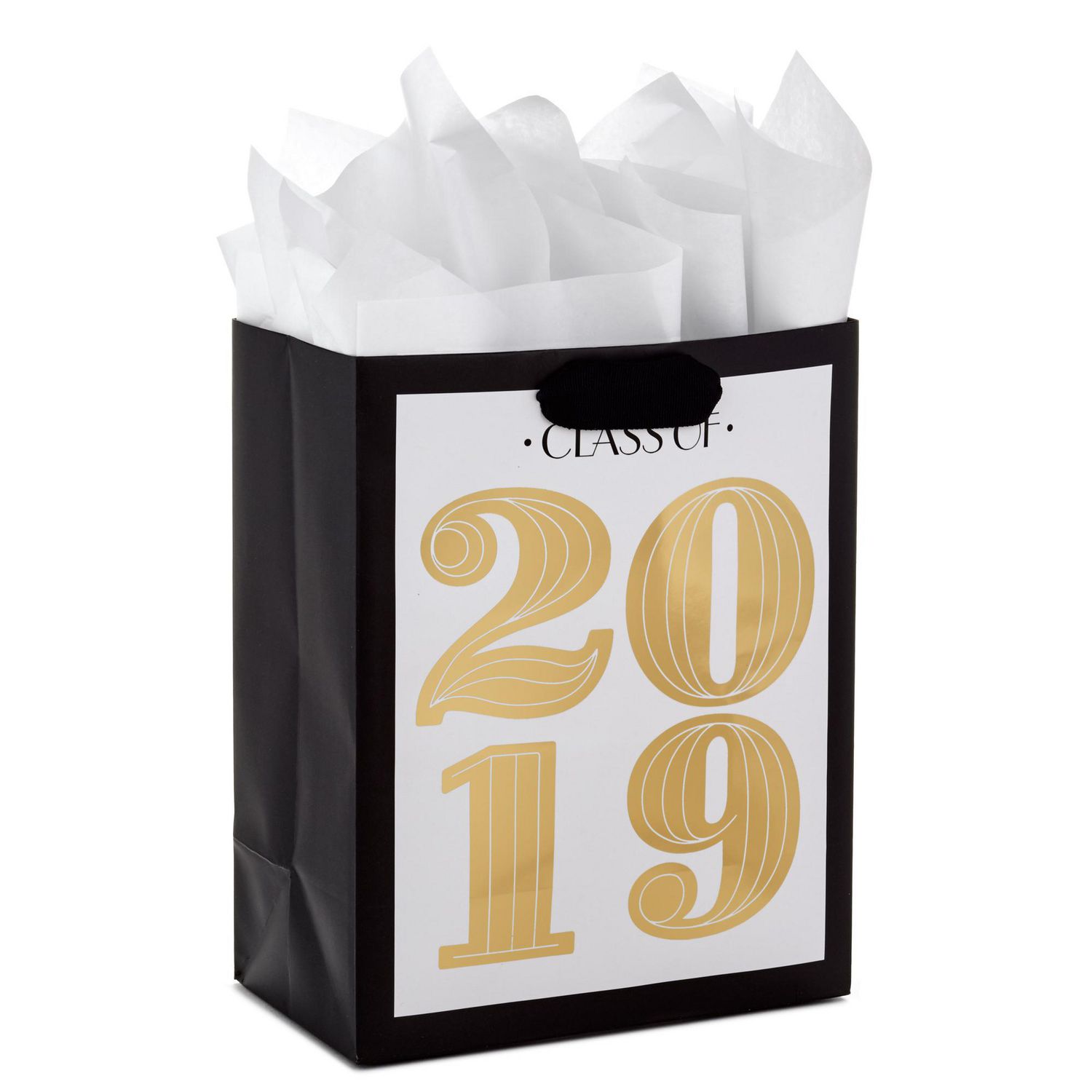 Hallmark Medium Graduation Gift Bag with Tissue Paper ...