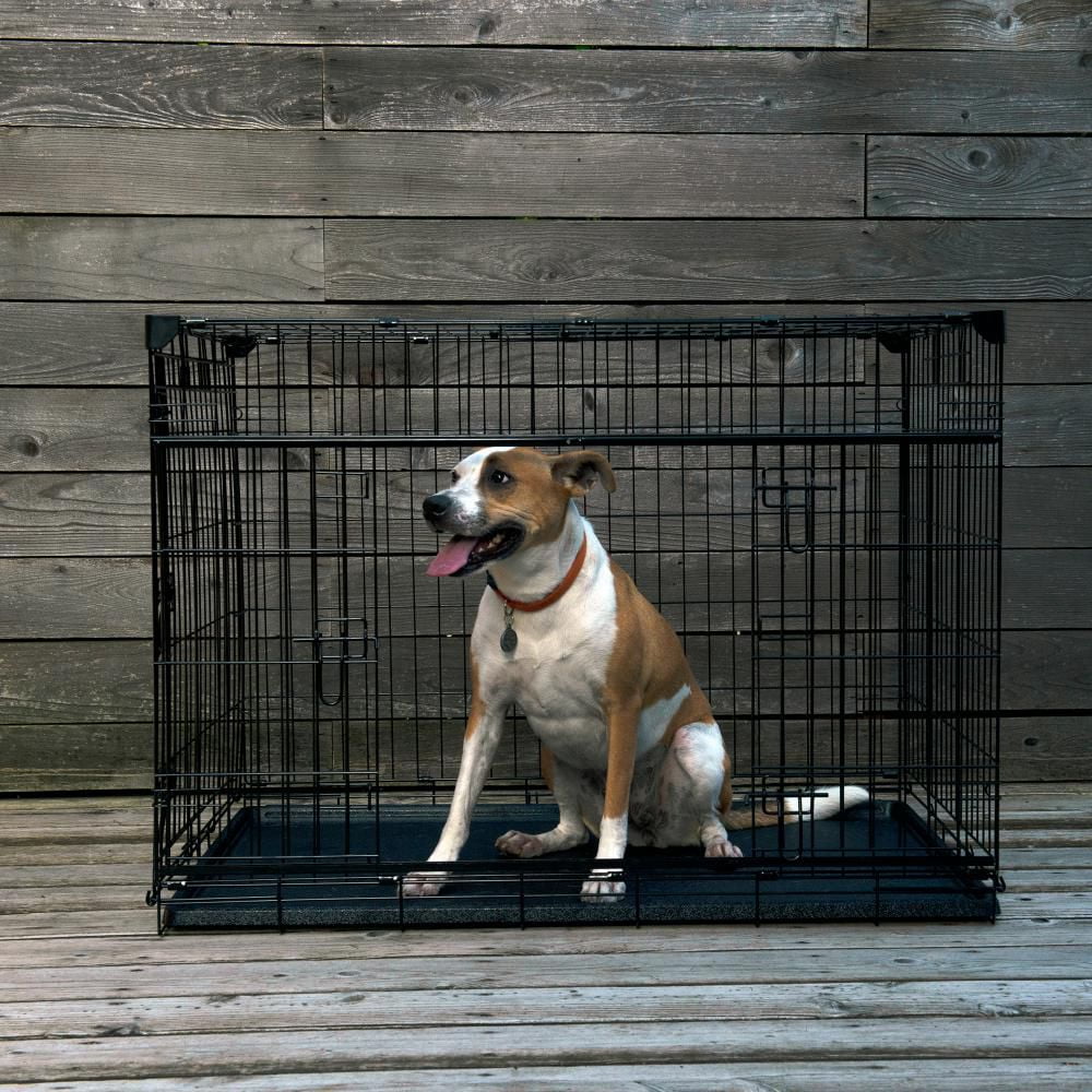 Lucky Dog Whisper Glide 42 Inch Sliding Double Door Dog Crate Walmart