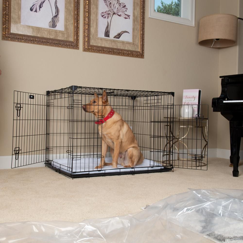 Dog kennel 42 inch best sale