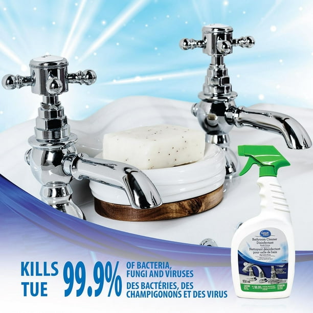 Lysol Nettoyant pour la salle de bain en vaporisateur, nettoyant pour la  salle de bain avec javellisant, élimine la moisissure - 950 ml