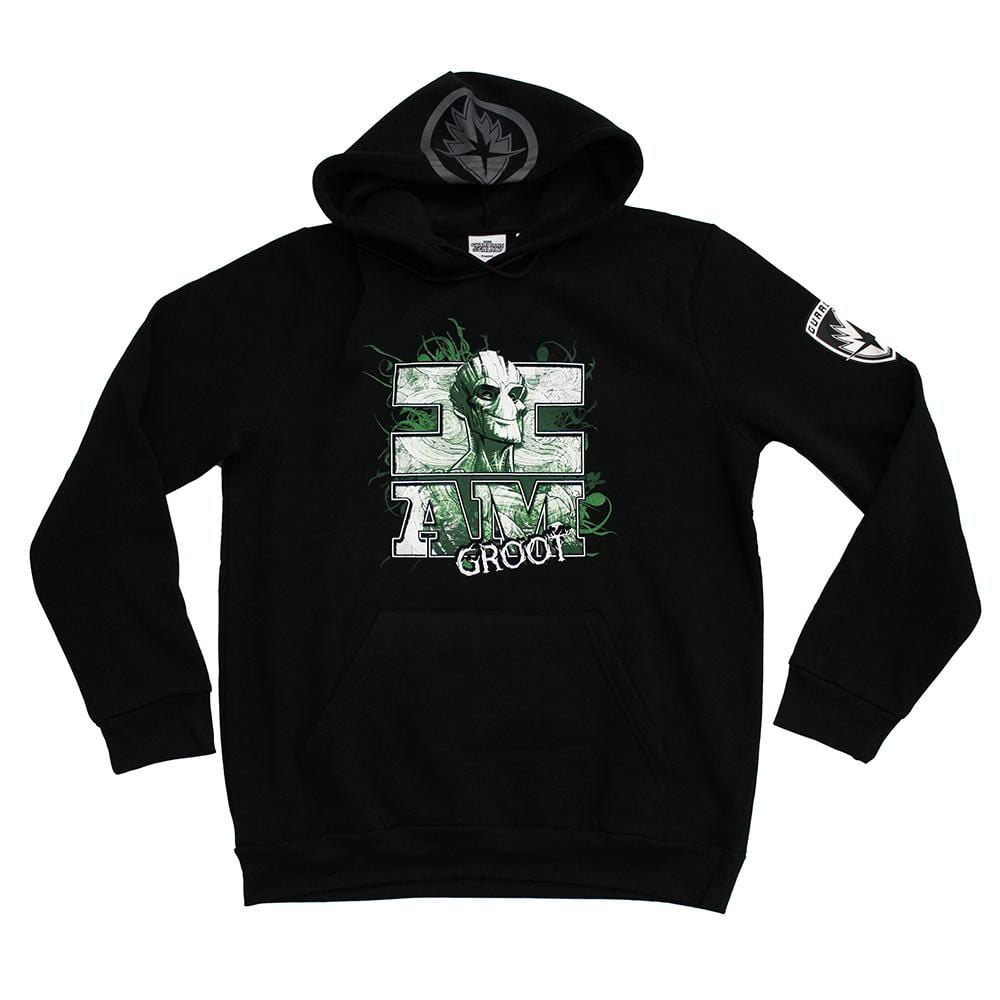 Sweat à capuche Gardiens de la Galaxie pour homme