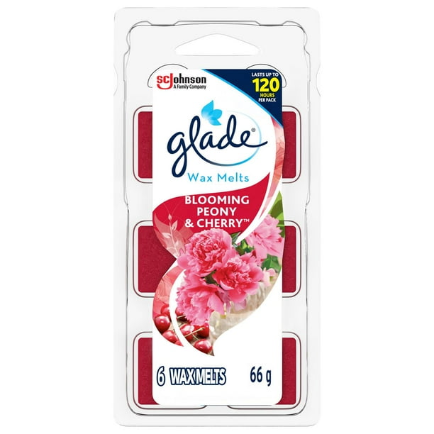 Glade Cubes de cire de - Pivoine en fleur et Cerise 6 fondre