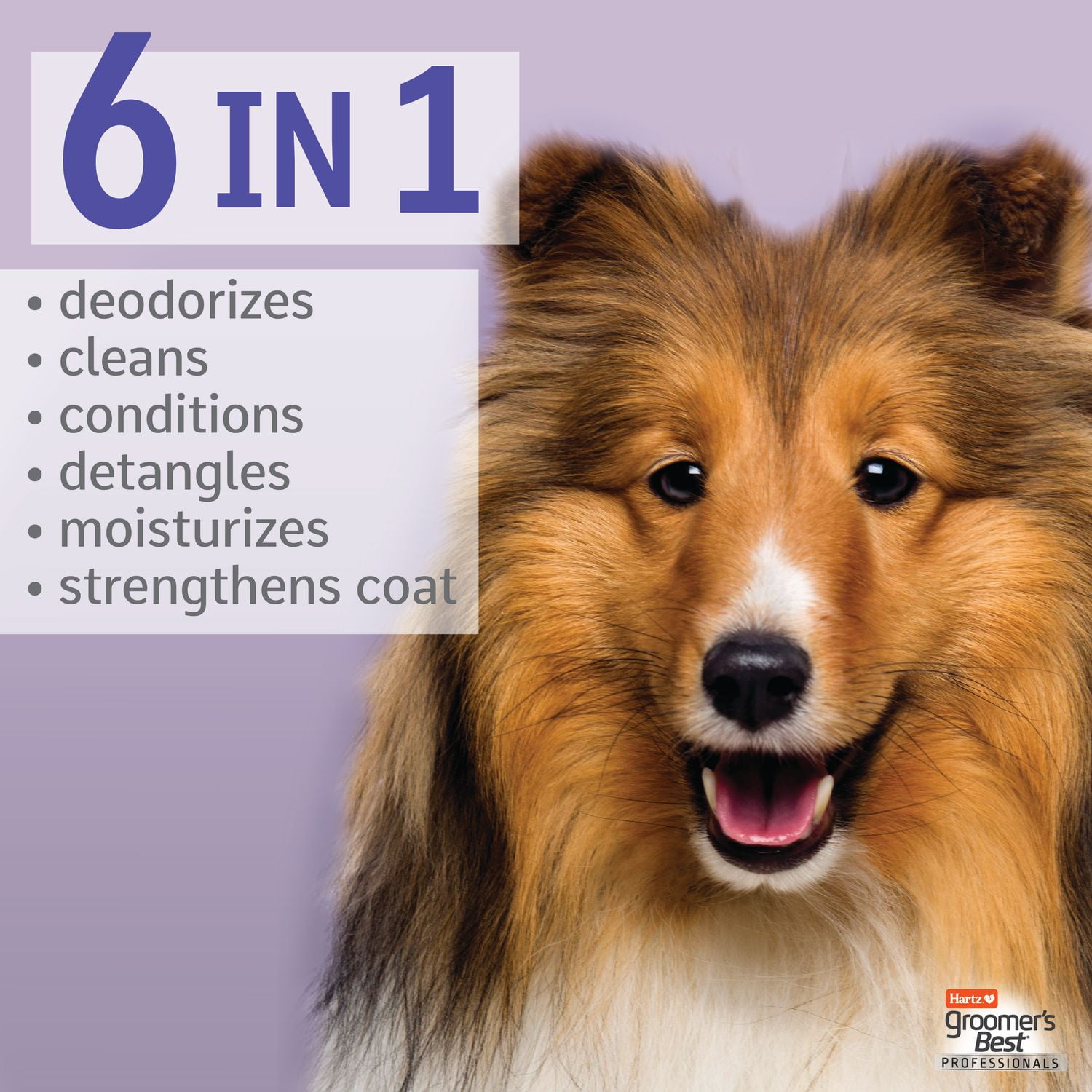 Best shampoo for rough collies best sale