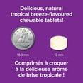 thumbnail image 4 of Webber Naturals®, Vitamin C Chewable, Tropical Breeze, 500 Mg, 4 of 11