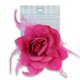 Rose de fleur de plume de Offray – image 3 sur 4