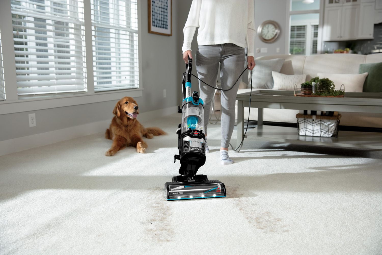 Bissell icon pet online vacuum reviews