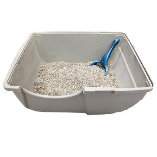 Non clumping deals clay litter