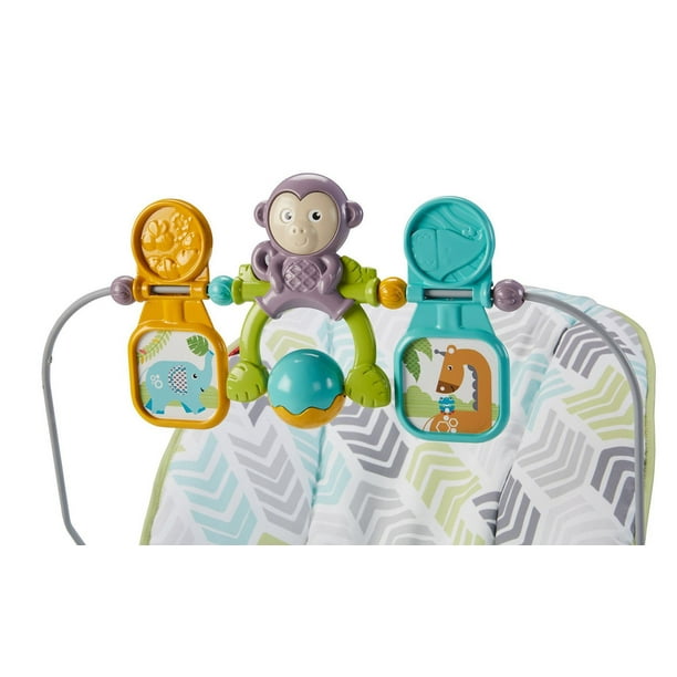 Fisher-Price Baby's Bouncer