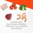 thumbnail image 2 of Fancy Feast Broths Seafood Bisque with Shrimp, Cat Food Complement 40 g, 2 of 8